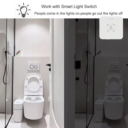 Zigbee/WiFi Smart Human Presence Sensor Tuya 24Ghz MmWave Radar Detection Luminance/Distance Detection  Support Home Assistant