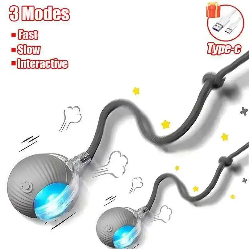 Smart Dog Interactive Ball Toys Automatic Rolling Ball Rechargeable Electric Pet Interactive Toy Dog Cat Training Imitate Mouse